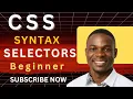 CSS Basics Tutorial CSS Syntax Made Easy for Beginners