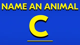 WORD ASSOCIATION GAME ABC SPEED QUIZ Alphabet Quiz Challenge