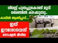 Download Lagu ശിരസ്സ് പുതപ്പുകൊണ്ട് മൂടി ബെഞ്ചില് കിടക്കുന്നു...കാലില് ആണിപ്പാട്.. | Sunday Shalom | Download Lagu ശിരസ്സ് പുതപ്പുകൊണ്ട് മൂടി ബെഞ്ചില് കിടക്കുന്നു...കാലില് ആണിപ്പാട്.. | Sunday Shalom |