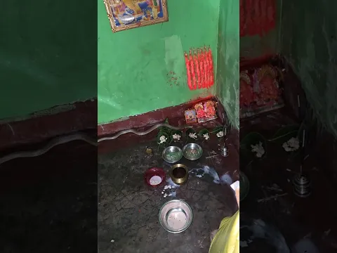 बिहार में नागपंचमी के दिन जैसे दुध लावा चढ़ा अचानक नाग सांप आ गया😱