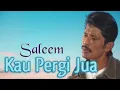 Download Lagu SALEEM - Kau Pergi Jua | Video Lirik