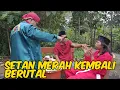 Download Lagu BANG REY LAMPUNG SETAN MERAH KEMBALI BERUTAL !!! 