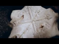 Download Lagu Harakiri For The Sky - The Traces We Leave (Official Music Video)