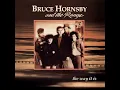 Bruce Hornsby and The Range - Mandolin Rain (Instrumental)