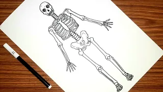 How to draw human skeleton Human anatomy drawing Skeleton system drawing