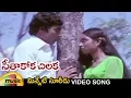 Download Lagu Ilayaraja Hits | Seethakoka Chilaka Movie | Minneti Suridu Video Song | Telugu Classical Songs