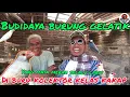 Download Lagu BURUNG GELATIK JADI PENOPANG EKONOMI KELUARGA. #gelatik #javasparrow #dhepawiro #pawirodoro