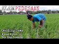 Download Lagu GENDING JAWA DENGAN PEMANDANGAN ALAM PEDESAAN - KRAWITAN CAKRA MANGGALA