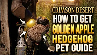 Crimson Desert How To Get The New Golden Apple Hedgehog Pet Guide