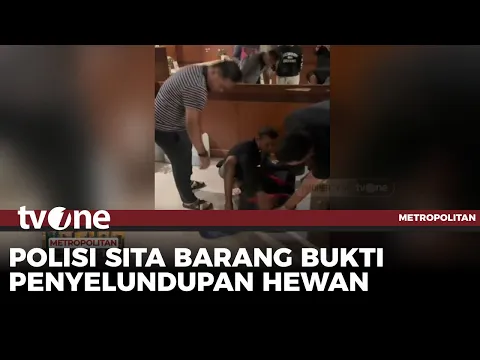 Polda Riau Bongkar Sejumlah Kasus Penyelundupan Satwa Dilindungi