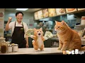 Download Lagu From Homeless to Homeowner: The Incredible True Story of a Mother Cat 😭🏡