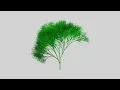 3 3a - Fractal Trees With Recursion