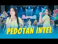 Download Lagu Shinta Arsinta - PEDOTAN INTEL (Official Music Video ANEKA SAFARI)