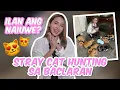 Lagu STRAY CAT HUNTING SA BACLARAN (NAKAKAIYAK SA SAYA)  | JELAI ANDRES