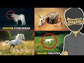 Download Lagu PENAMPAKAN UNICORN ASLI DI DUNIA NYATA