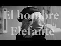Download The Elephant Man | Analisis y dignidad humana mp4 3gp mp3 videos - waplic