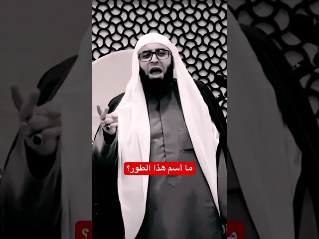 ⁣زينب عليها مرتين ارتجت الشام السيدة #زينب