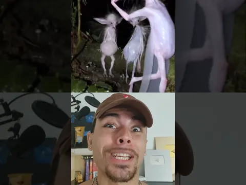 DESAFIO IMPUSSÍVEL