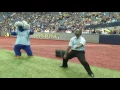 Schooling mascots again