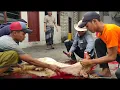 Download Lagu POTONG KAMBING AQIQAH 7 EKOR SIANG HARI