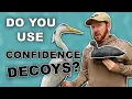 Confidence Decoys for duck hunting Coots and Herons Myth or Truth