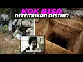 Download Lagu Bagaimana Cara Saddam Hussein Tertangkap?