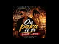 STYL GOUYAD  KOMPA  OU  PA KA FE  SA  REMIX  DJ CELIO 🌴🔥