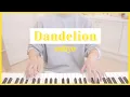 Download Lagu Bella is sick so Lucas plays alone 🌼oohyo - Dandelion🌼