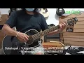 Download Lagu Gitar Akustik EKO NXT Series Parlor Black ORIGINAL with Gigbag _ AMTECH MUSIC STORE \u0026 SERVICE _