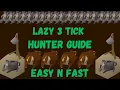 UPDATED EASY 3 TICK HUNTER GUIDE for lazy people