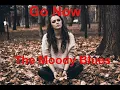 Lagu Go Now   The Moody Blues -with lyrics