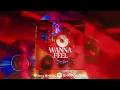 Kartezz - wanna feel(Official Audio)
