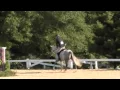 of CRISTAL ridden by BRANDON GIBSON from ShowNet