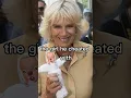 Download Lagu Charles cheated on diana Prince charles and camilla wedding