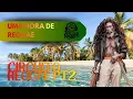 Lagu Uma Hora de Reggae sem parar - Circuito reggae pt 2 Dj Niguer