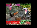 Download Lagu suara ayam hutan hijau Mp3 green jungle fowl