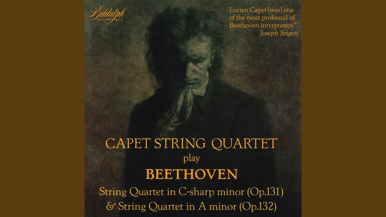 String Quartet No. 14 in C-Sharp Minor, Op. 131: VI. Adagio quasi un poco andante String Quartet No. 14 in C-Sharp Minor, Op. 131: VI. Adagio quasi un poco andante