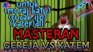 Download masteran murai kacer cucak ijo,gereja vs kapas tembak super ampuh MP3