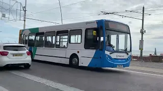                                دندنها
