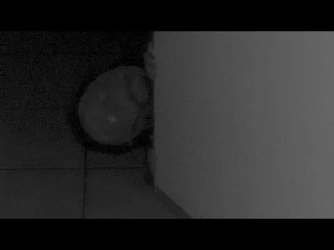 DO YOU SEE IT