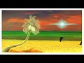 Download Lagu Kicau burung camar dan ombak dilautan dikala senja,#burungcamar,#ombak,#laut,#senja,#sorehari,#sea