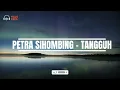 Video Lirik - Petra Sihombing - Tangguh
