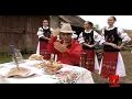 Download Lagu Nicolae Guta - Parul lung si mintea scurta
