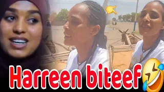 Harreen Jaarsaa Nurraa Fudhatte Namaf Hin Toliin Hadhookoo 