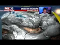Weather Forecast December 2 2021