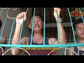 Download Lagu Kopelan - #Albi_Erlangga (Official Music Lyric) Dangdut Lampung