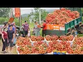 Download Lagu 138--Days Use Truck To Transport Lots of Lychee, Longans, Jackfruit,... Go To Market Sell