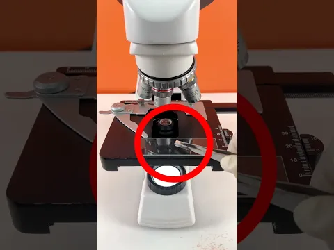 Putting Eyeshadow Under a Microscope and This Happened‼️🤯