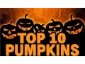 TOP 10 DIY HALLOWEEN PUMPKINS PUMPKIN CARVING IDEAS VlogGrrr