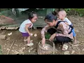 Download Lagu Life of a single mother raising a child, collecting eggs, cooking, taking care of children...